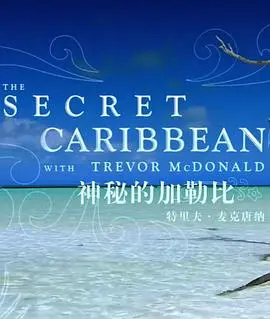 《神秘的加勒比》：探险之旅还是惊悚噩梦？加勒比海盗背后的黑暗秘密