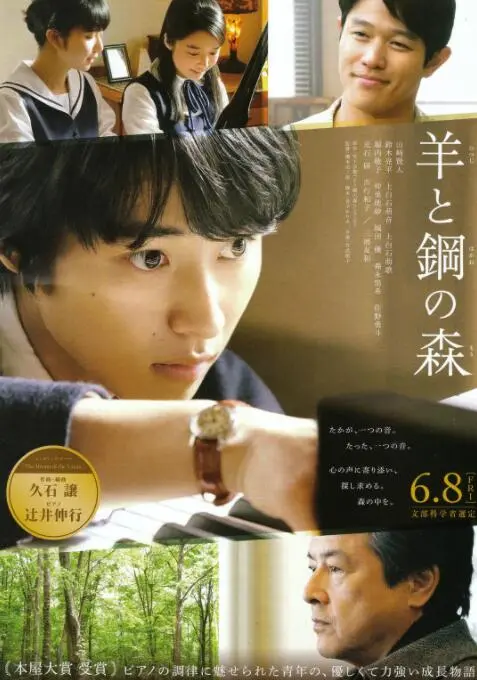 《羊与钢的森林》：当匠心遇上青春，一曲动人心弦的钢琴青春成长赞歌