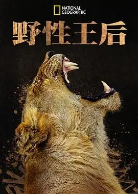 《野性王后》：雌狮的生存哲学与母性光辉，一场关于力量与爱的壮丽史诗